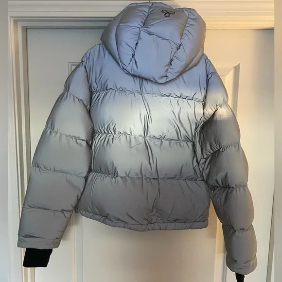 The Aritzia Super Puff Shorty in the Reflective Silver Color - Picture 3 of 5